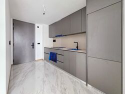 The Landmark (D3), Condominium #520932461